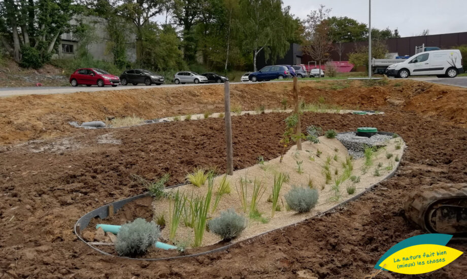 Jardin de Pluie Aquatiris ZAC