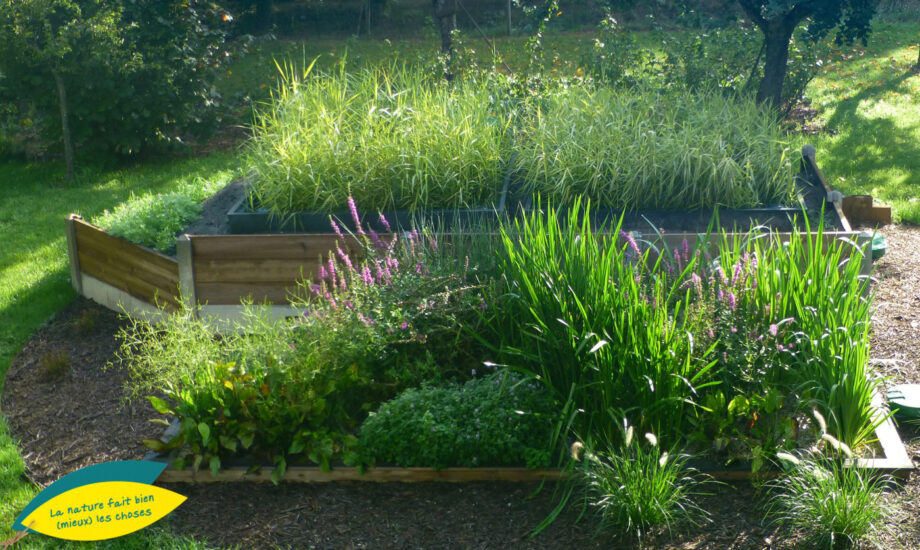 Jardin d'Assainissement Aquatiris - Gamme Iris