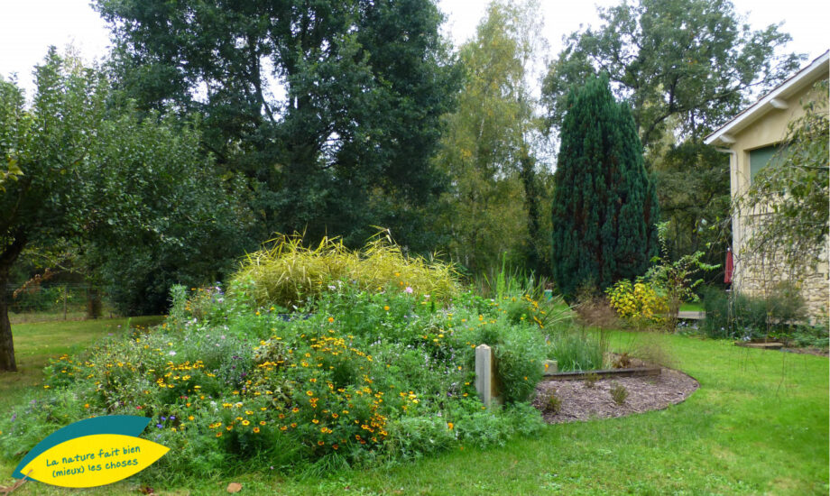 Jardin d'Assainissement Aquatiris - Gamme Iris