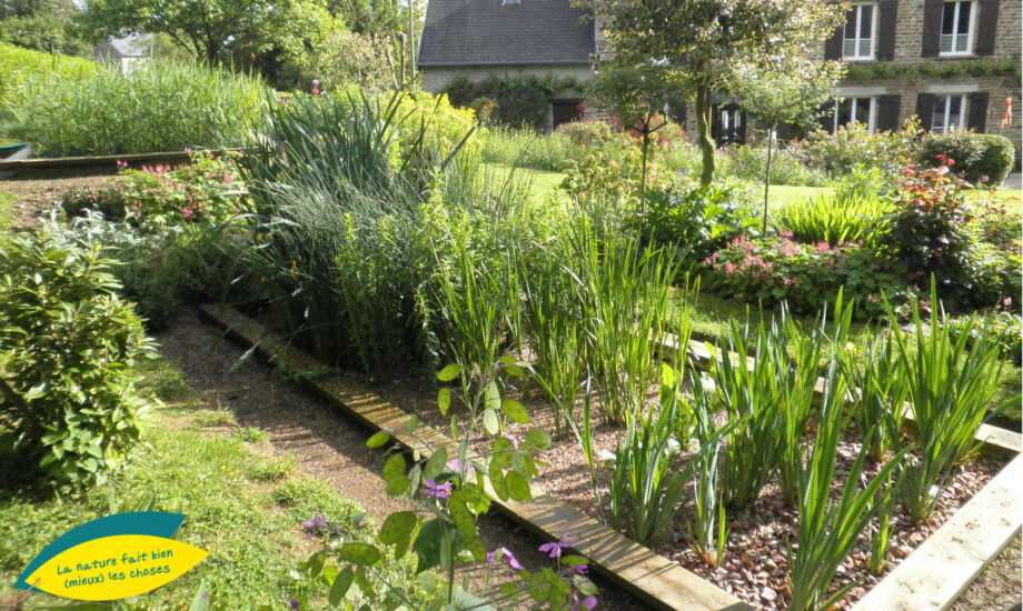 Jardin d'Assainissement Aquatiris - Gamme Iris