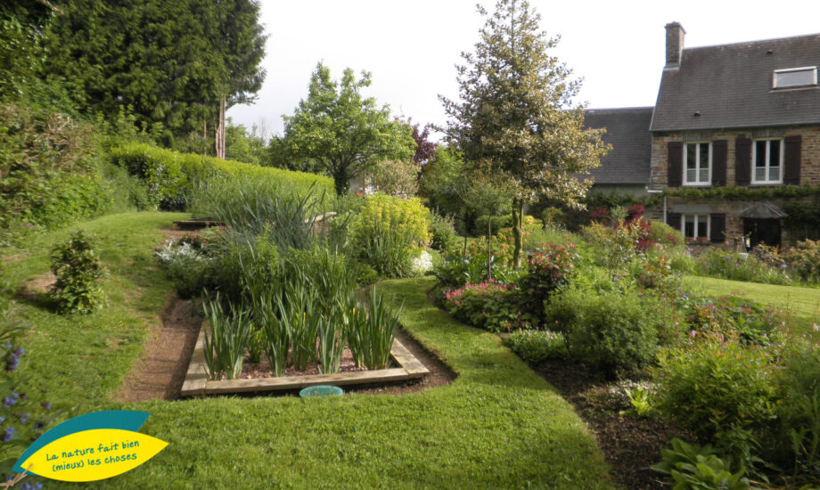 Jardin d'Assainissement Aquatiris - Gamme Iris