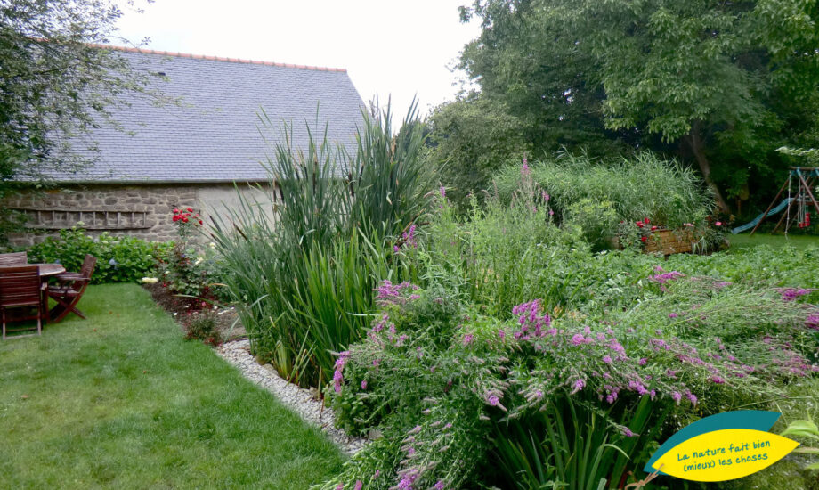 Jardin d'Assainissement Aquatiris - Gamme Iris