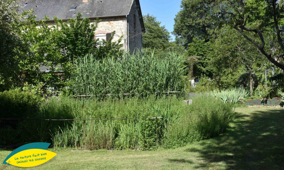 Jardin d'Assainissement