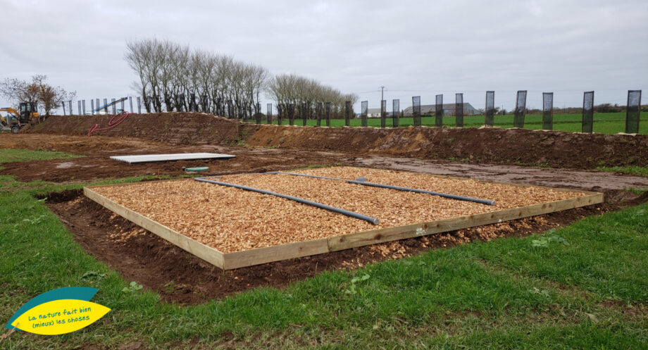 Jardin d’assainissement Osier - Traitement d’effluents agricoles (eaux blanches) et domestiques en mélange - Dpt 29