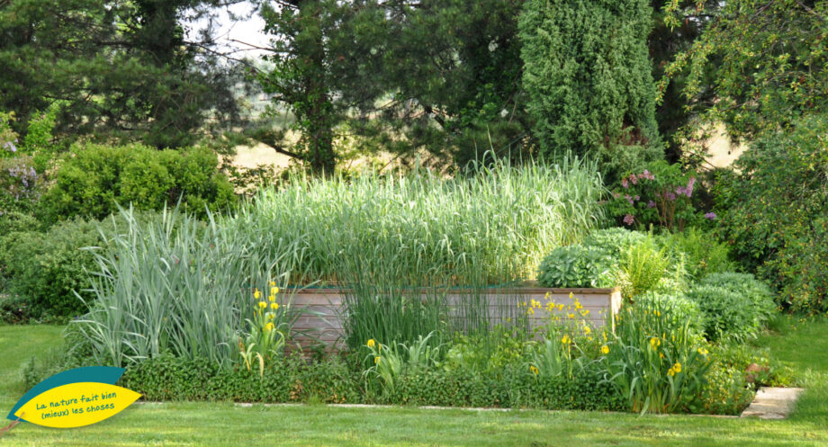 Jardin d'Assainissement