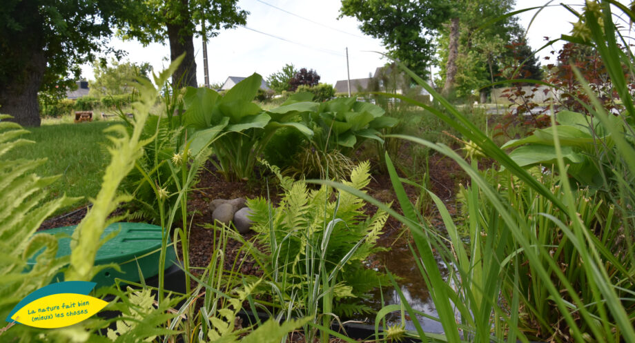 Jardin de Pluie