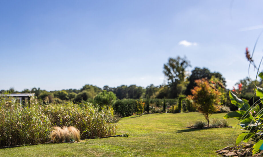 Jardin d'Assainissement Gamme Roseaux