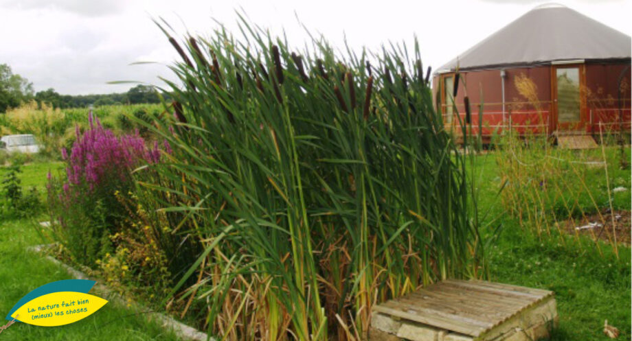 Jardin d'Assainissement pour une yourte