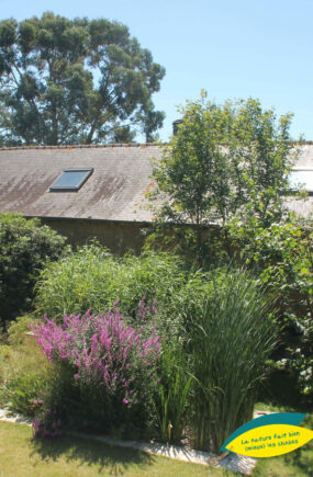 Jardin d'Assainissement Aquatiris